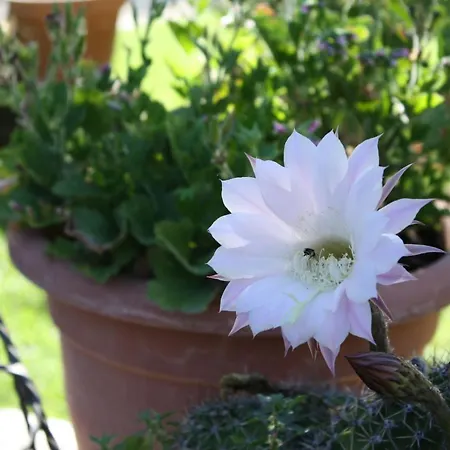 Del Barone Hotel Caramanico Terme