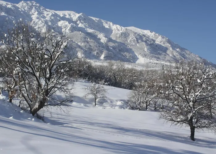 Отель Del Barone *