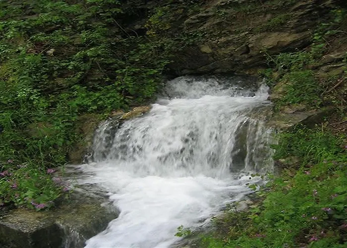 Отель Del Barone