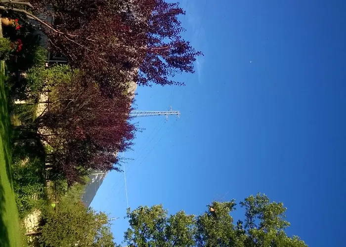 Отель Del Barone *